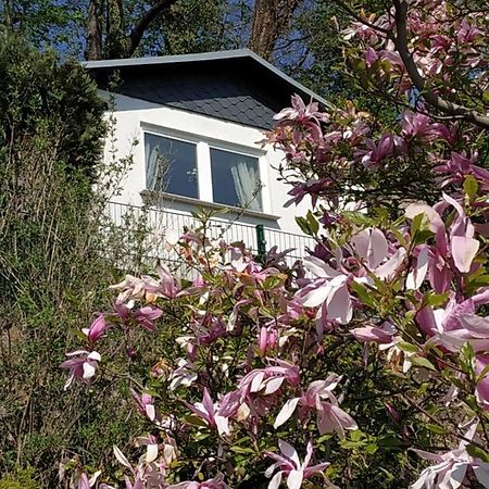 Das Ferienhaus Mit Aussicht Pirna Dış mekan fotoğraf