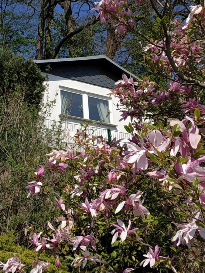 Das Ferienhaus Mit Aussicht Pirna Dış mekan fotoğraf