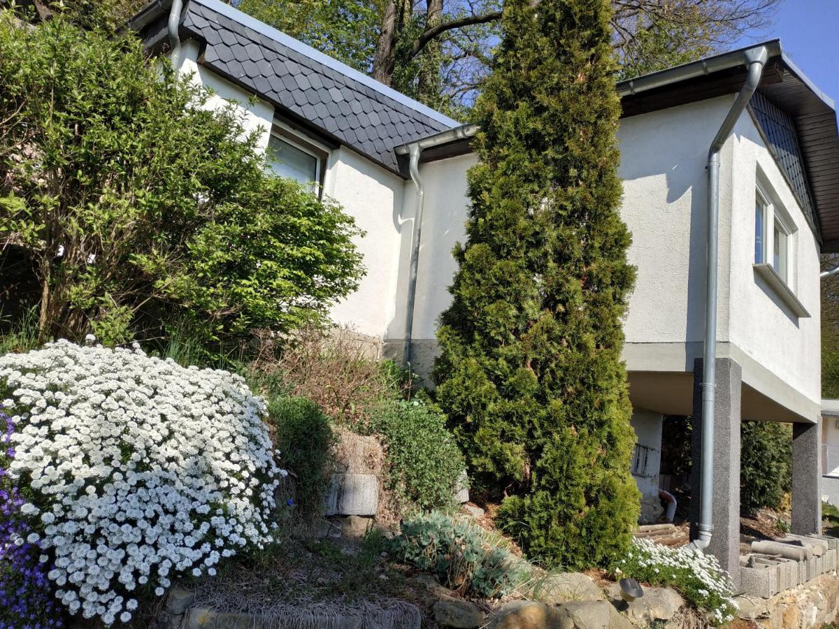 Das Ferienhaus Mit Aussicht Pirna Dış mekan fotoğraf