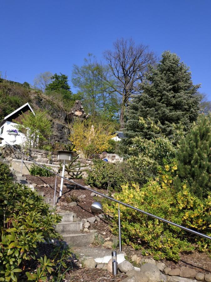 Das Ferienhaus Mit Aussicht Pirna Dış mekan fotoğraf