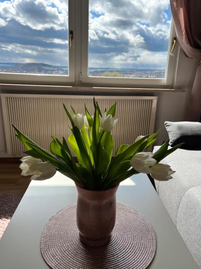 Das Ferienhaus Mit Aussicht Pirna Dış mekan fotoğraf
